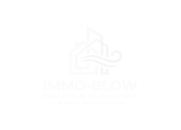logo immo blow noir et blanc